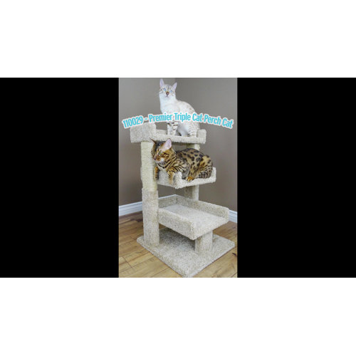 New Cat Condos 32" Cat Tree & Reviews Wayfair